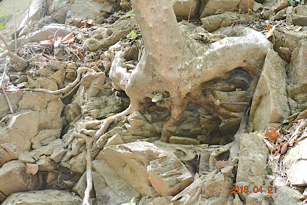 f:id:masatdm1951:20180421190853j:plain