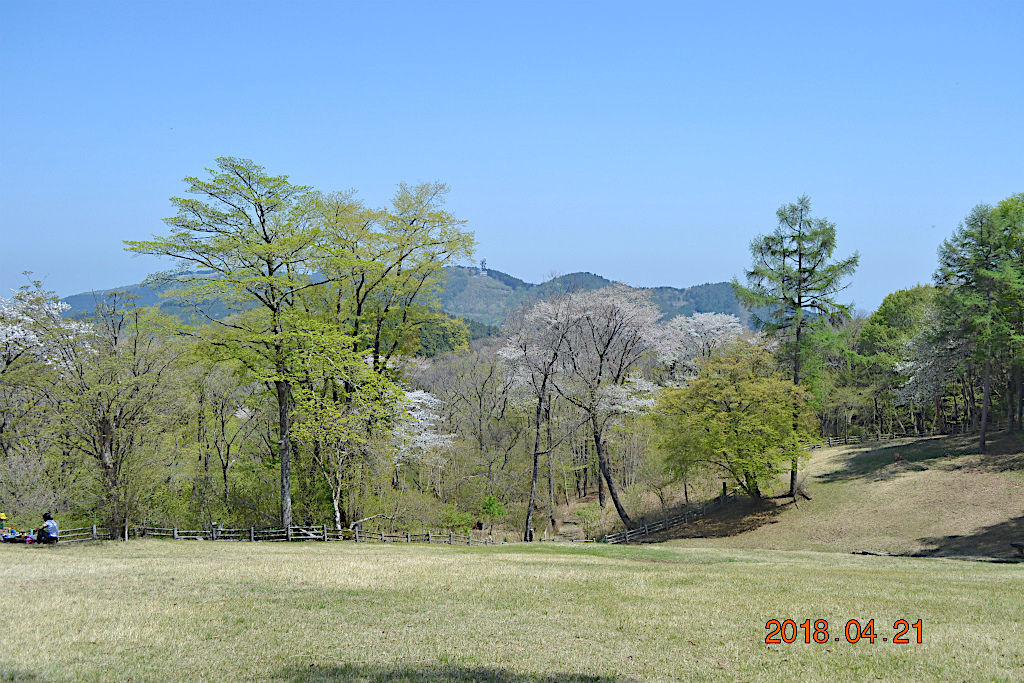 f:id:masatdm1951:20180421191230j:plain