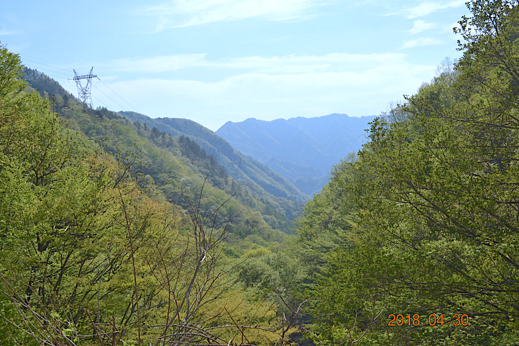 f:id:masatdm1951:20180502160806j:plain f:id:masatdm1951:20180502160806j:plain