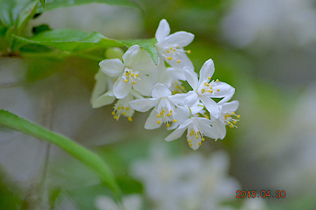 f:id:masatdm1951:20180502162312j:plain f:id:masatdm1951:20180502162312j:plain