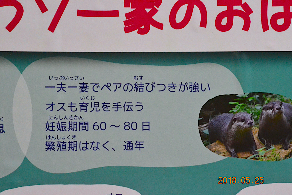 f:id:masatdm1951:20180526070112j:plain f:id:masatdm1951:20180526070112j:plain