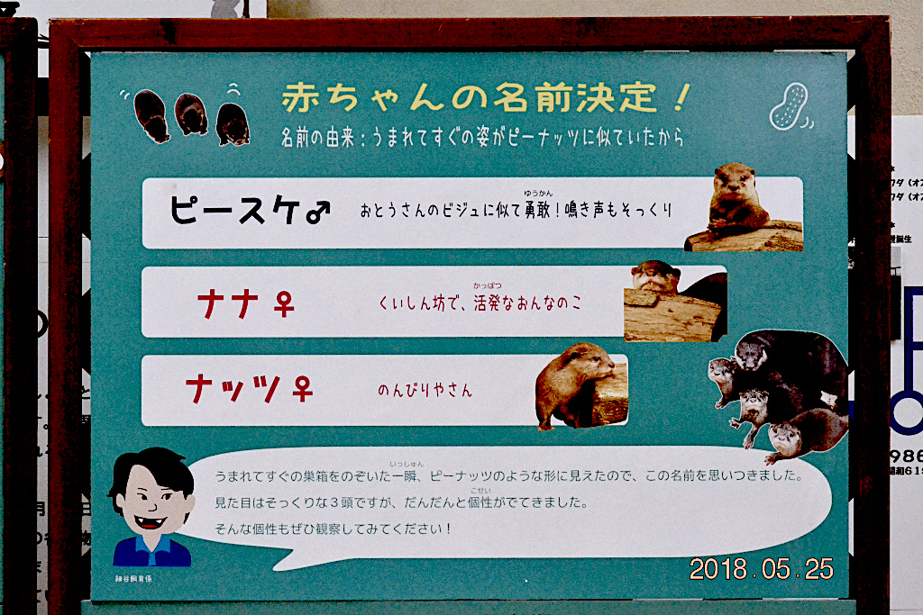 f:id:masatdm1951:20180526070140j:plain f:id:masatdm1951:20180526070140j:plain