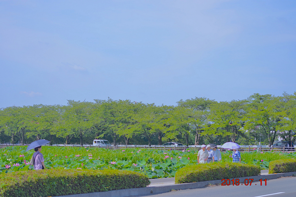 f:id:masatdm1951:20180711160924j:plain