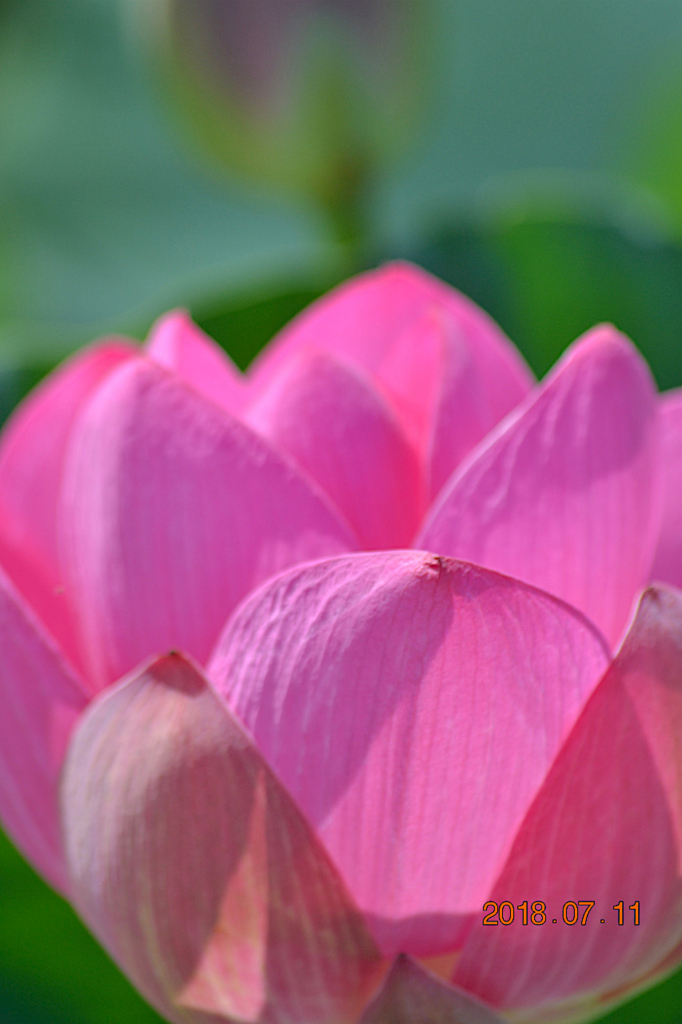 f:id:masatdm1951:20180711161052j:plain