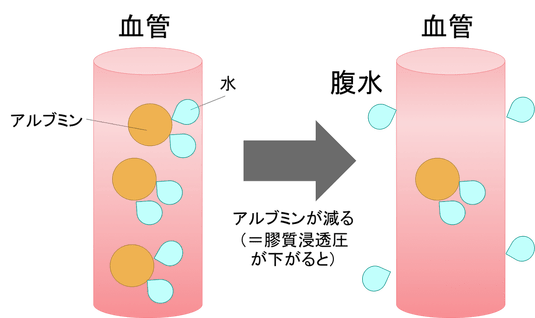 f:id:masatdm1951:20180825085917p:plain f:id:masatdm1951:20180825085917p:plain