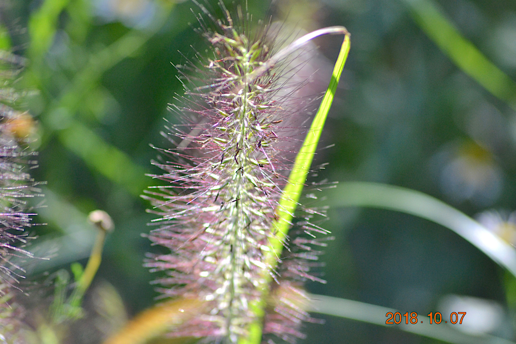 f:id:masatdm1951:20181007171938j:plain