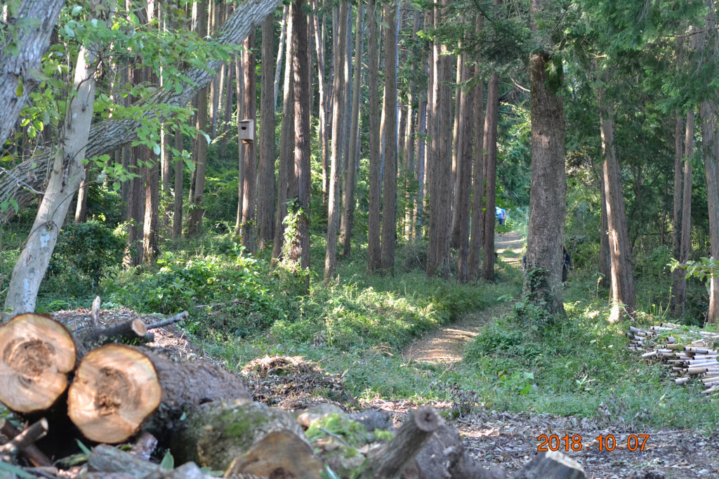 f:id:masatdm1951:20181007172030j:plain