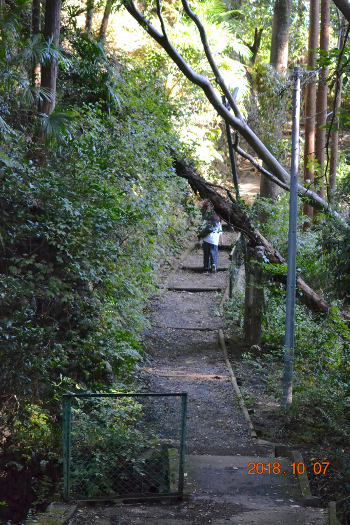 f:id:masatdm1951:20181007172058j:plain