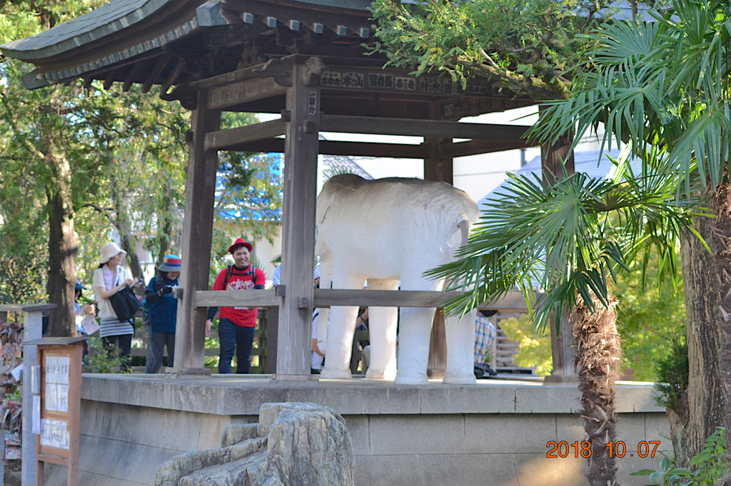 f:id:masatdm1951:20181007172105j:plain