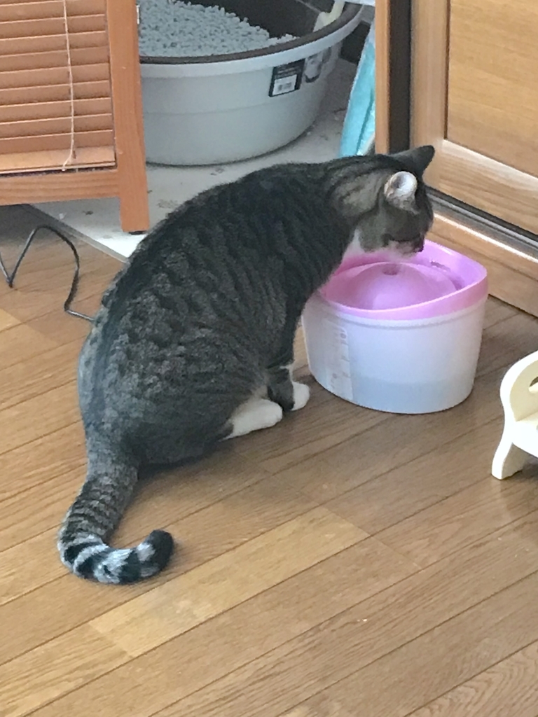 f:id:masatdm1951:20181103143019j:plain f:id:masatdm1951:20181103143019j:plain