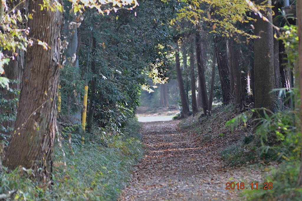 f:id:masatdm1951:20181128161705j:plain f:id:masatdm1951:20181128161705j:plain