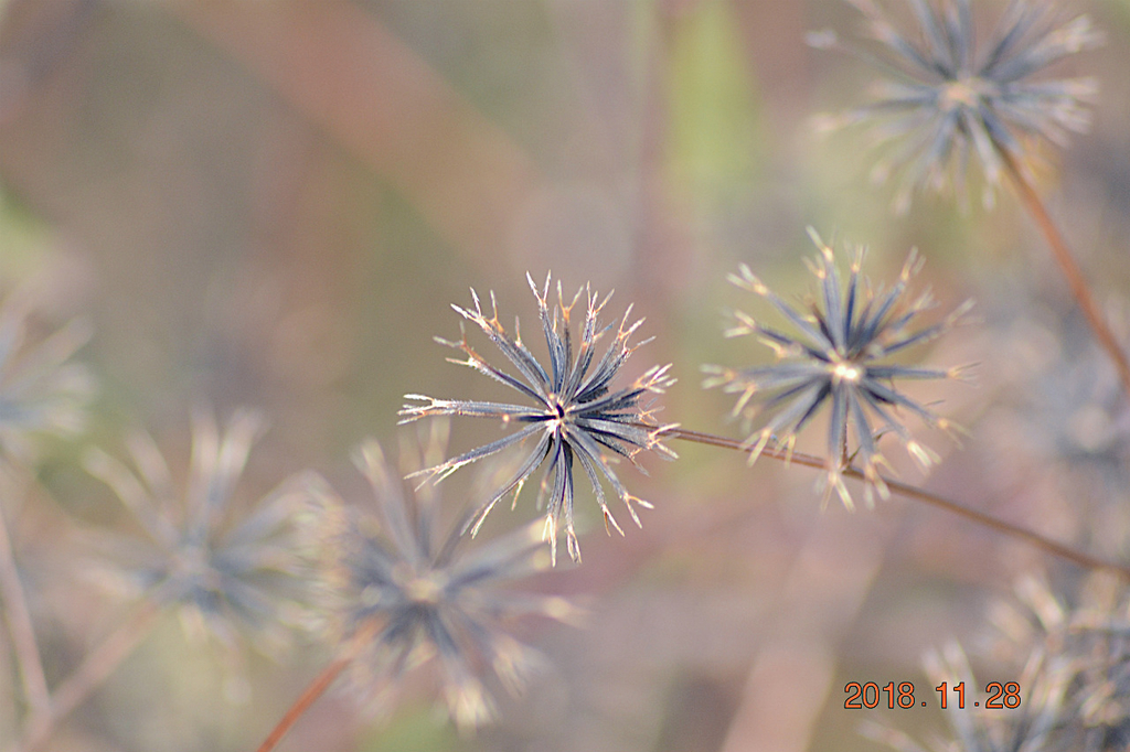 f:id:masatdm1951:20181128161731j:plain f:id:masatdm1951:20181128161731j:plain