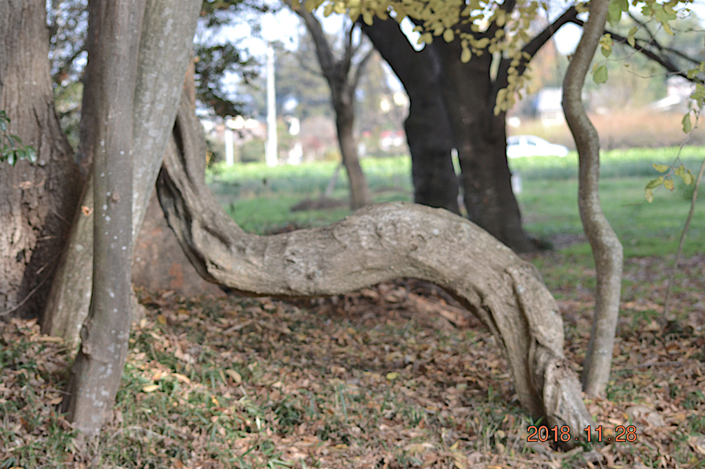 f:id:masatdm1951:20181128161904j:plain f:id:masatdm1951:20181128161904j:plain