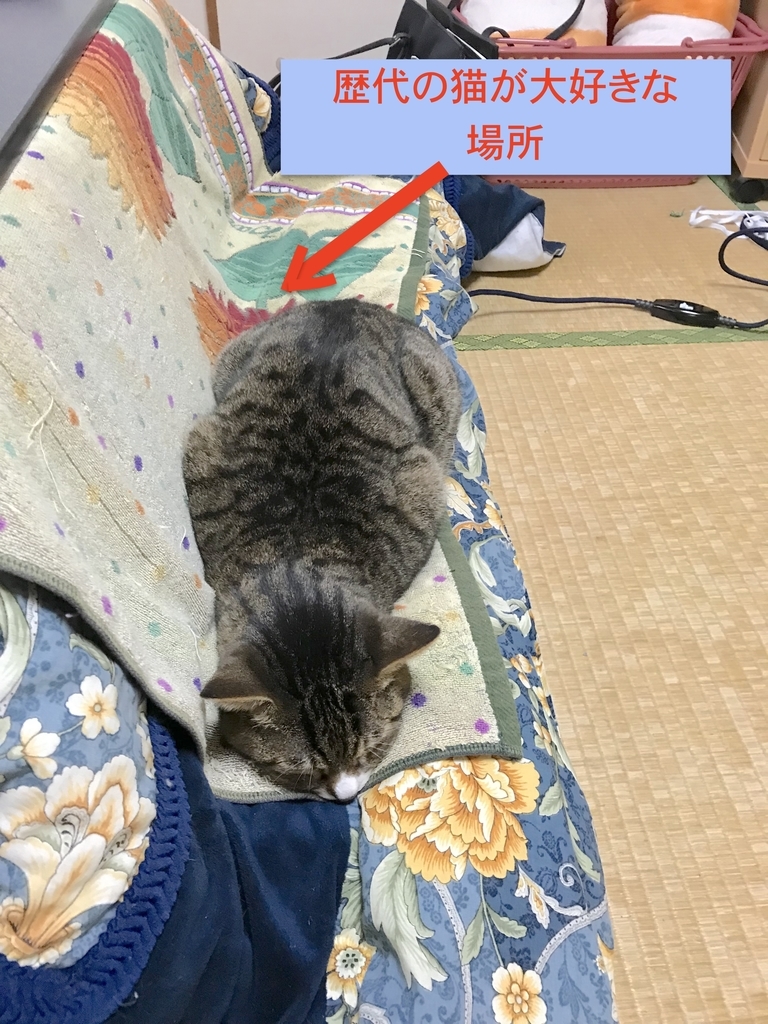 f:id:masatdm1951:20181202075513j:plain