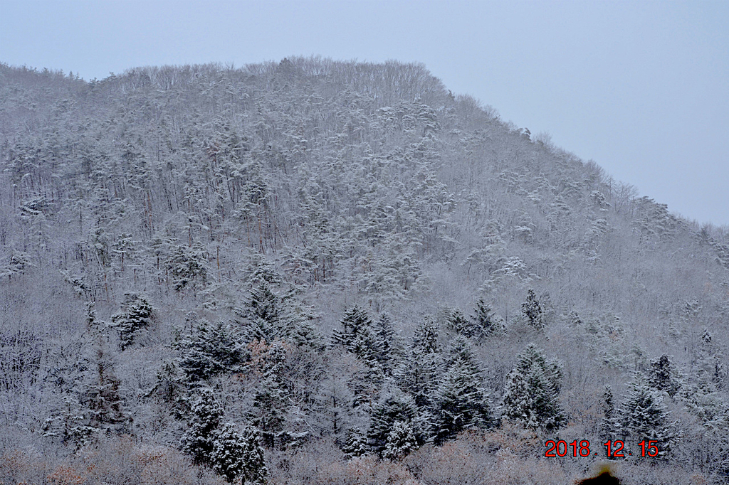 f:id:masatdm1951:20181215193627j:plain