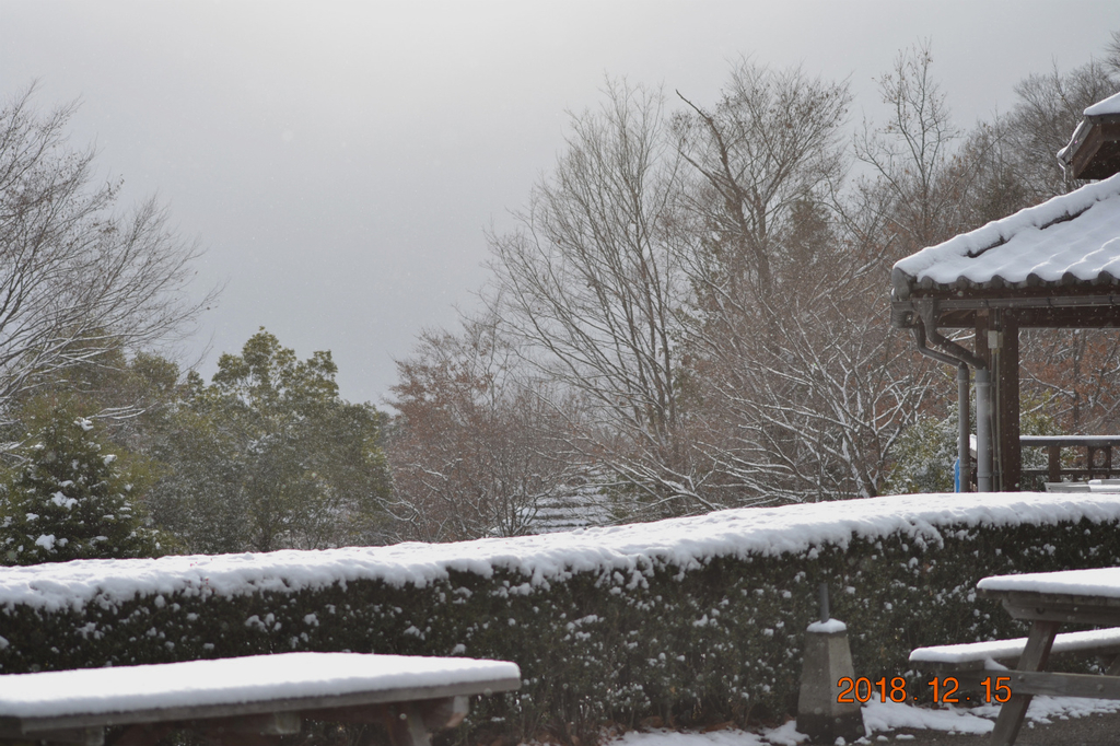 f:id:masatdm1951:20181215193726j:plain