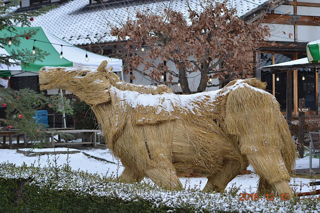 f:id:masatdm1951:20181215193743j:plain