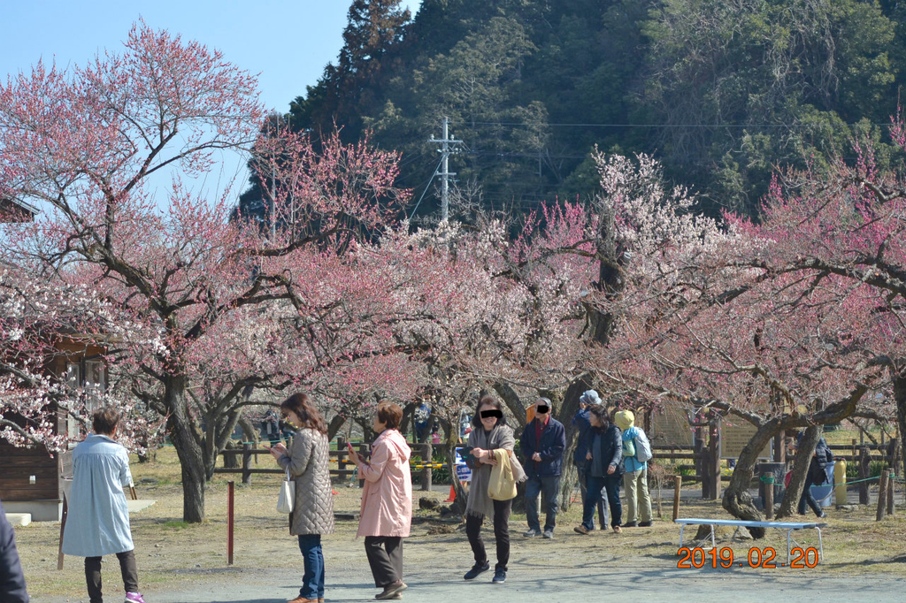 f:id:masatdm1951:20190220142754j:plain