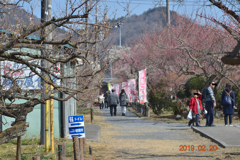 f:id:masatdm1951:20190220142810j:plain