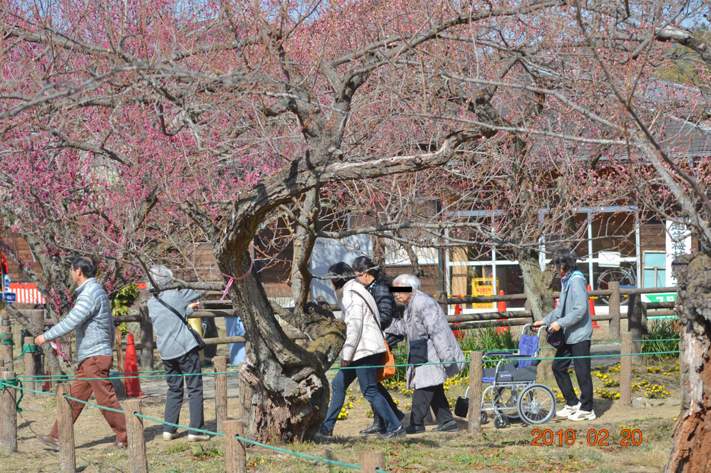 f:id:masatdm1951:20190220143006j:plain