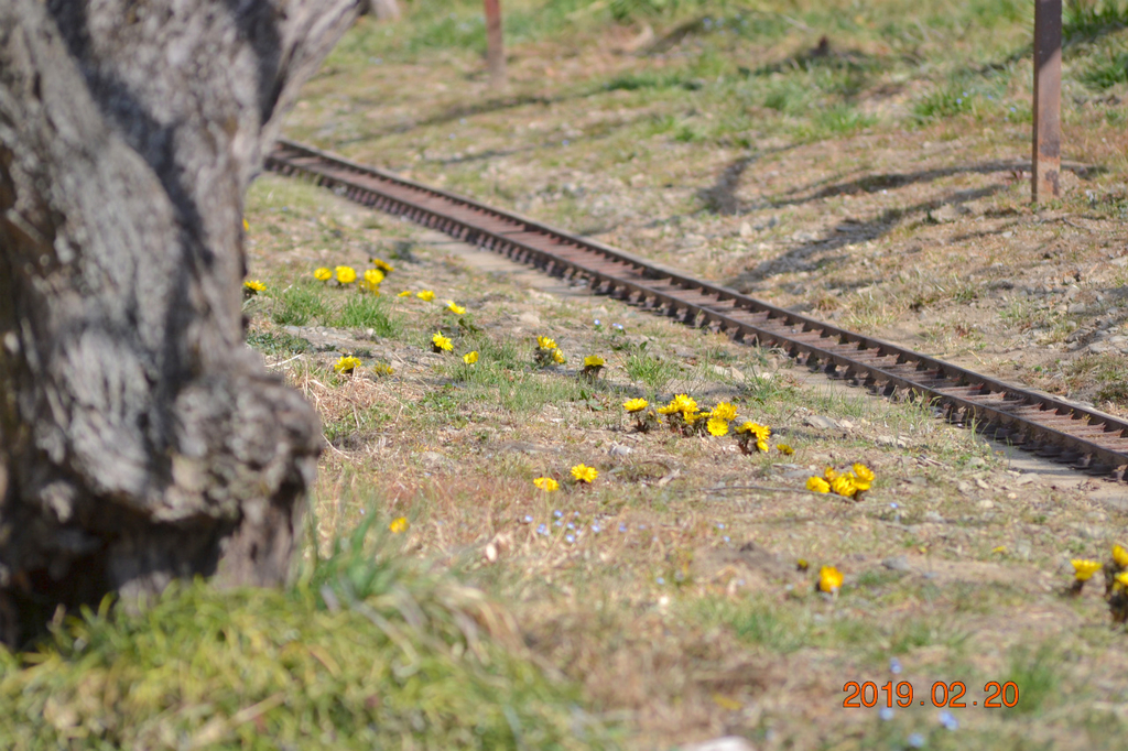 f:id:masatdm1951:20190220143034j:plain