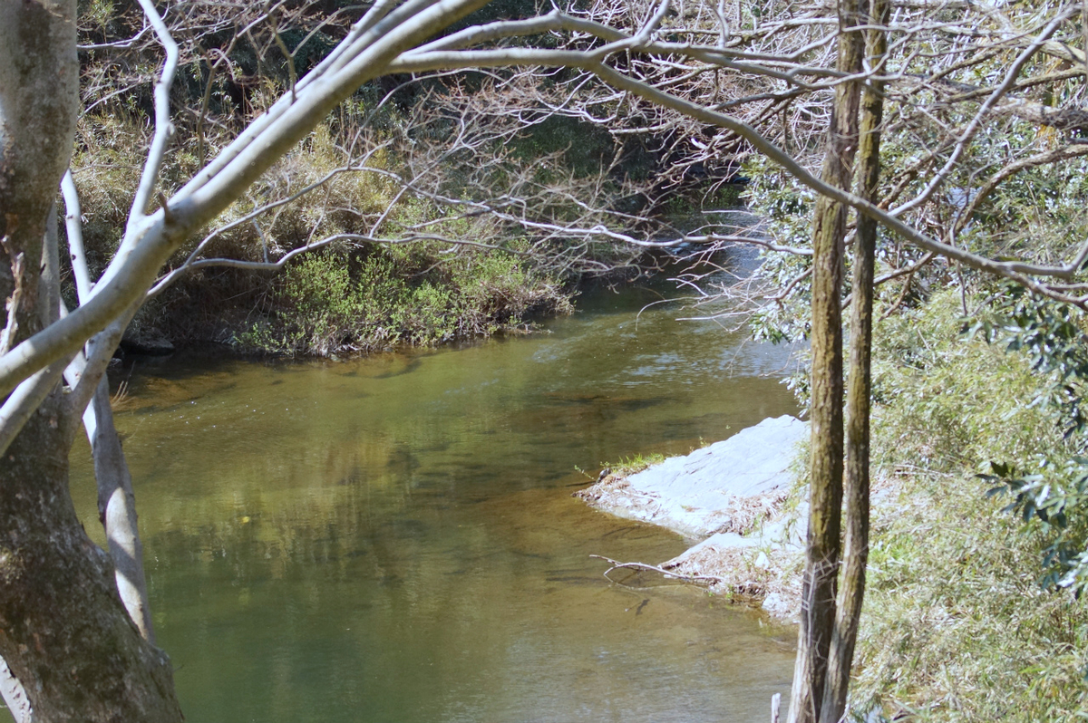 f:id:masatdm1951:20190328194735j:plain f:id:masatdm1951:20190328194735j:plain