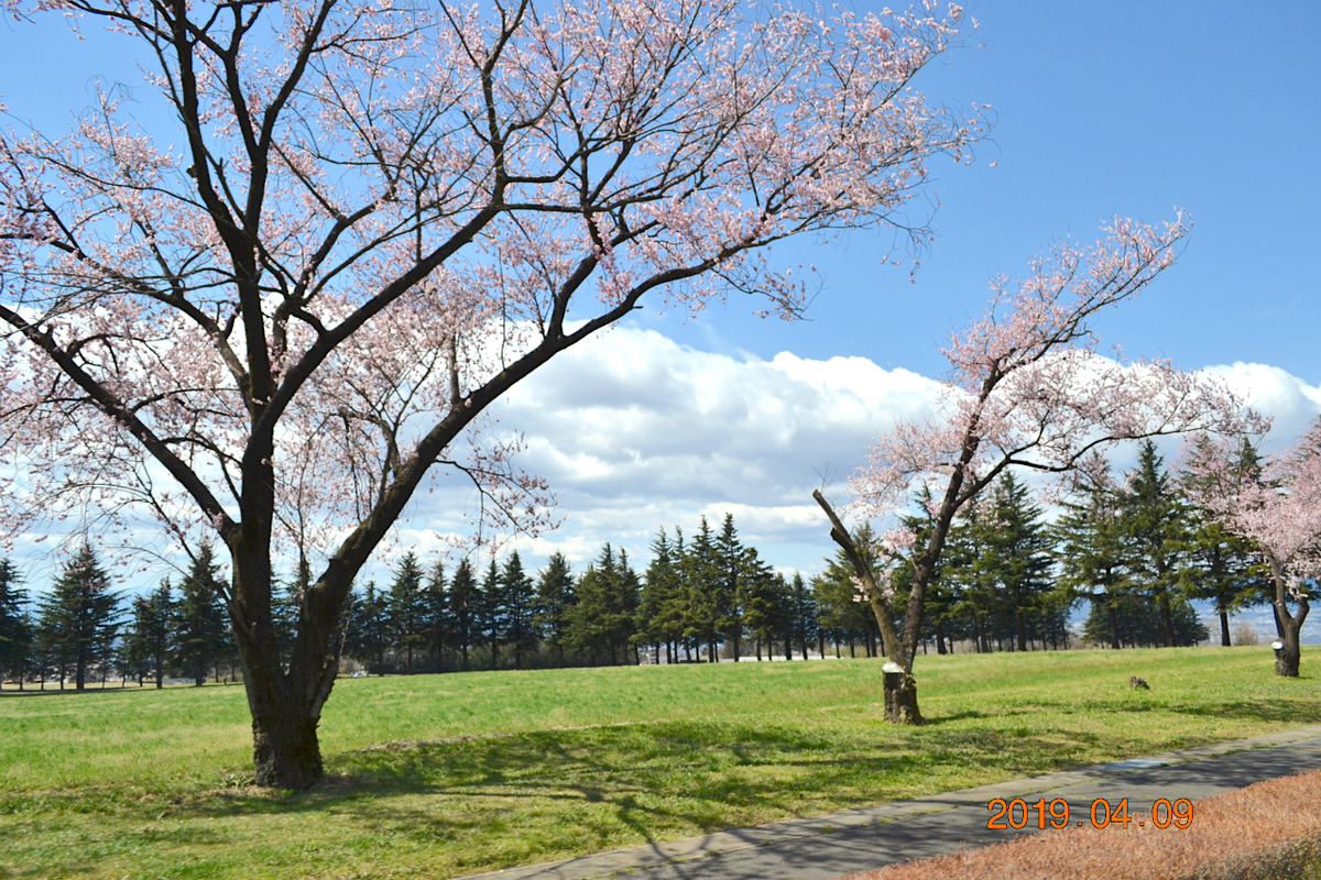 f:id:masatdm1951:20190409202248j:plain f:id:masatdm1951:20190409202248j:plain