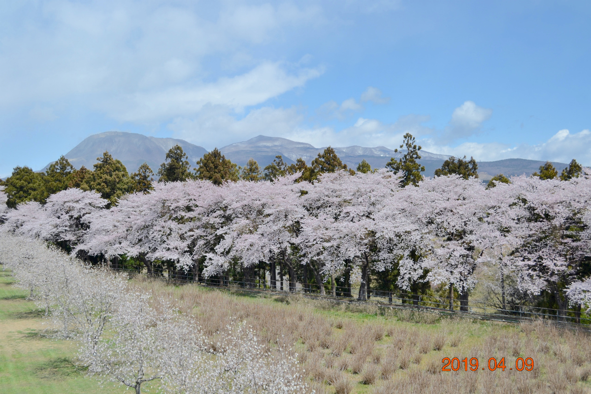 f:id:masatdm1951:20190409202534j:plain f:id:masatdm1951:20190409202534j:plain