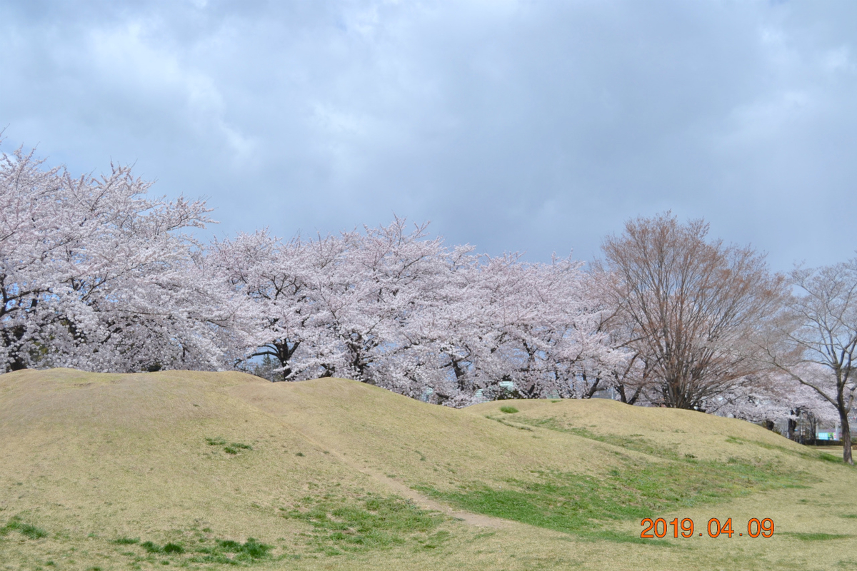 f:id:masatdm1951:20190409202600j:plain f:id:masatdm1951:20190409202600j:plain