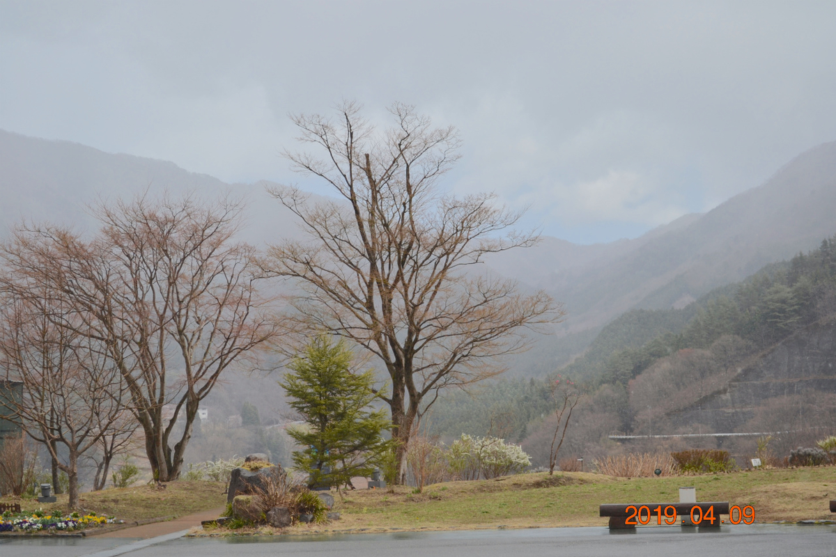 f:id:masatdm1951:20190409203256j:plain f:id:masatdm1951:20190409203256j:plain