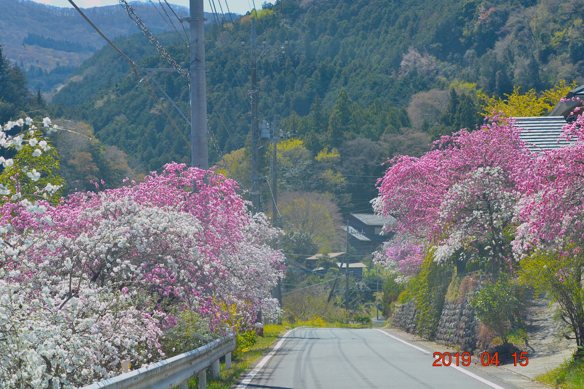 f:id:masatdm1951:20190415195201j:plain f:id:masatdm1951:20190415195201j:plain