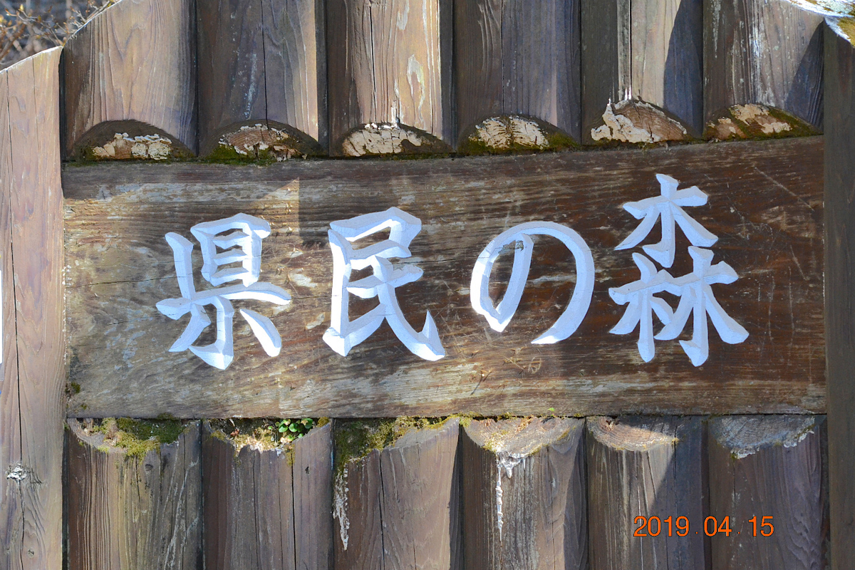 f:id:masatdm1951:20190415195905j:plain f:id:masatdm1951:20190415195905j:plain