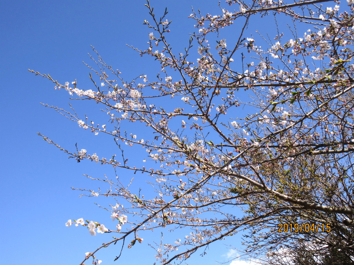 f:id:masatdm1951:20190415214311j:plain f:id:masatdm1951:20190415214311j:plain