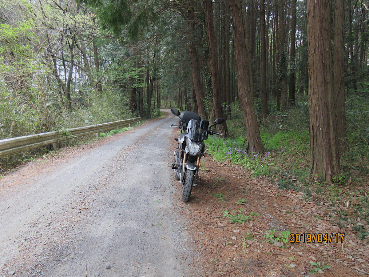 f:id:masatdm1951:20190417220121j:plain f:id:masatdm1951:20190417220121j:plain