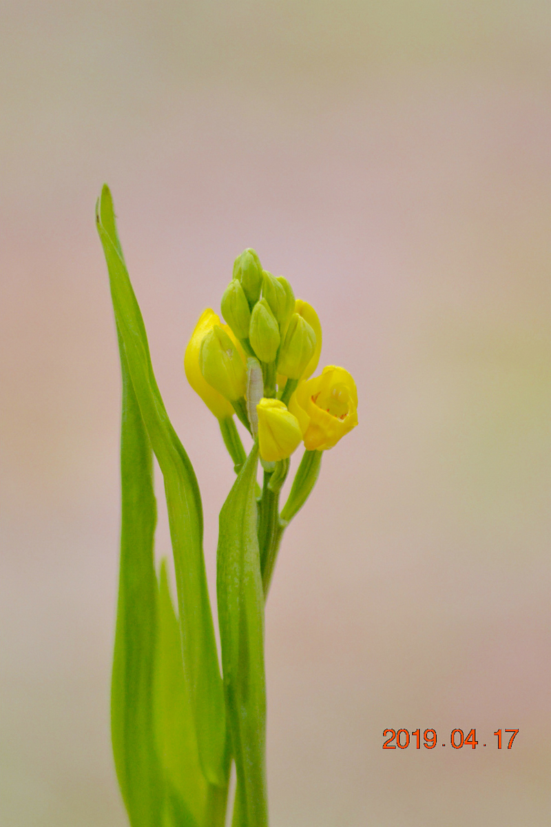 f:id:masatdm1951:20190417221240j:plain f:id:masatdm1951:20190417221240j:plain