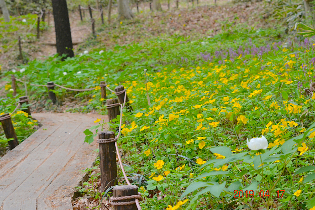 f:id:masatdm1951:20190417221442j:plain f:id:masatdm1951:20190417221442j:plain