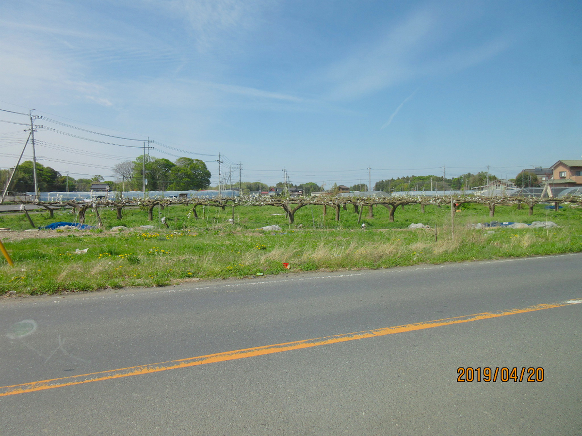 f:id:masatdm1951:20190420202545j:plain f:id:masatdm1951:20190420202545j:plain