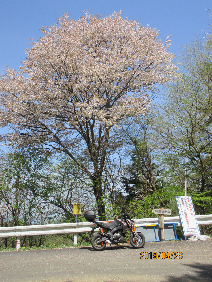 f:id:masatdm1951:20190423212258j:plain f:id:masatdm1951:20190423212258j:plain