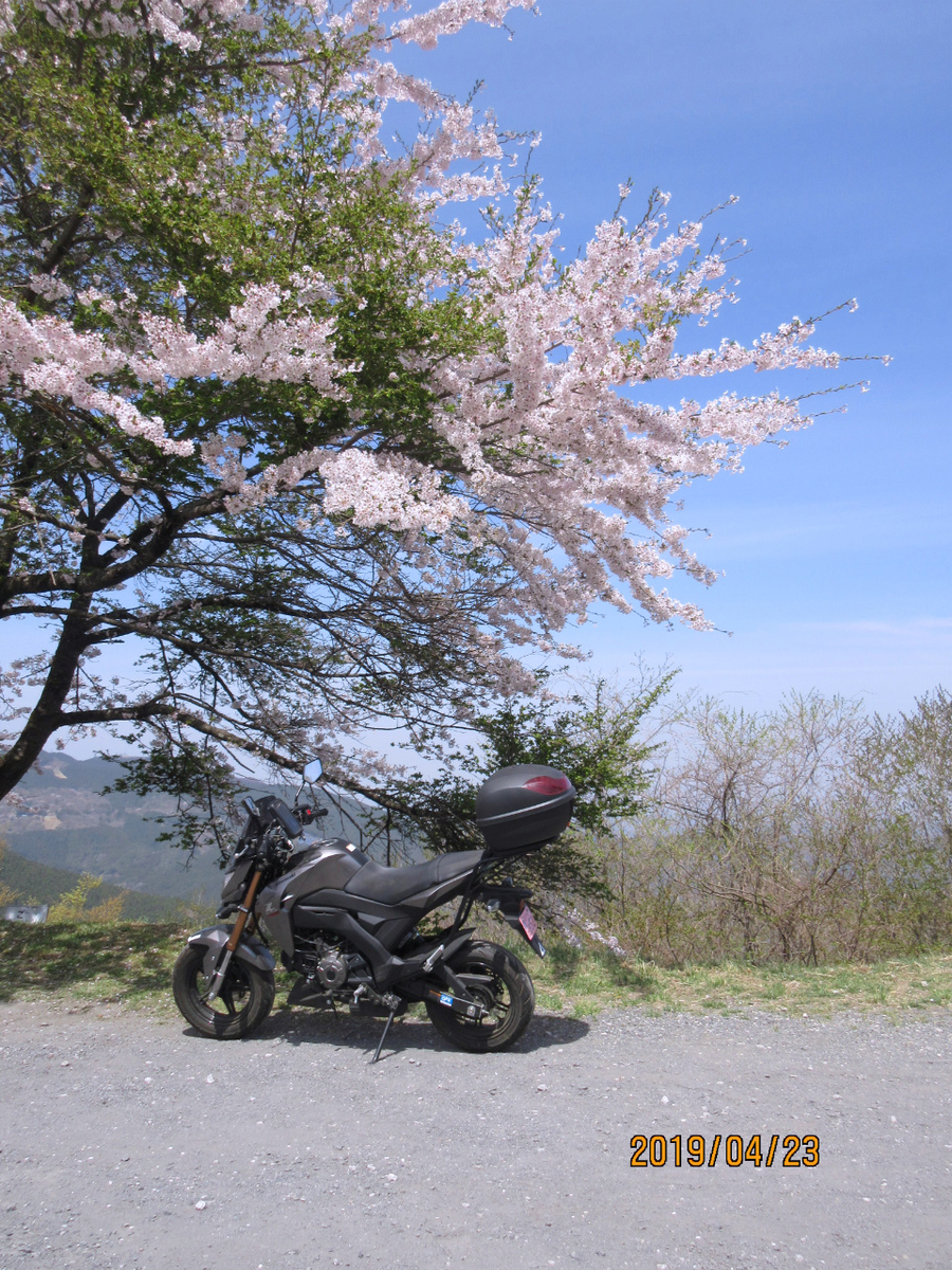 f:id:masatdm1951:20190423212639j:plain f:id:masatdm1951:20190423212639j:plain