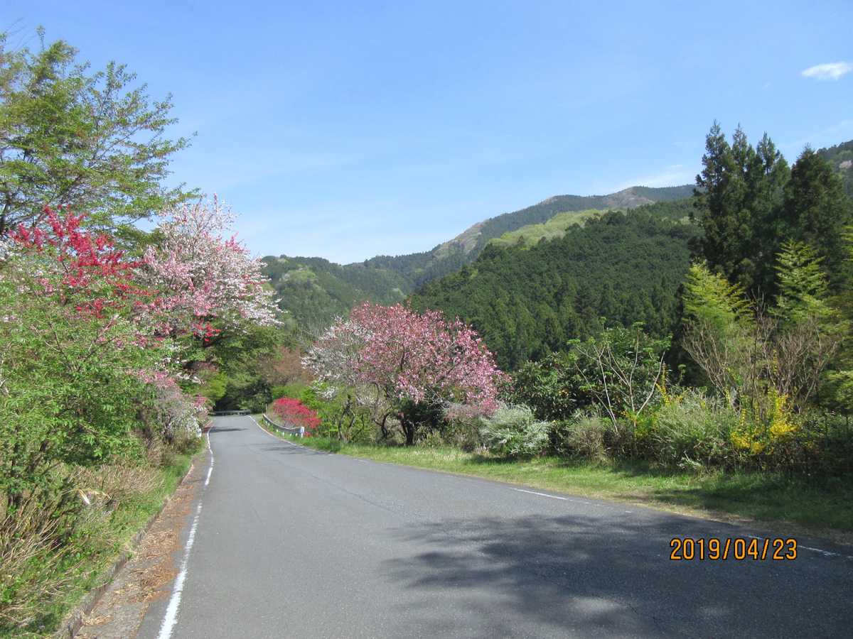 f:id:masatdm1951:20190423213919j:plain f:id:masatdm1951:20190423213919j:plain