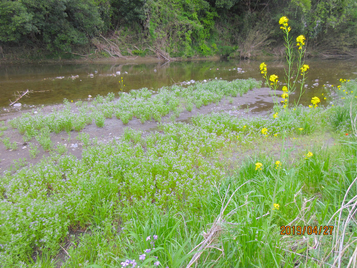 f:id:masatdm1951:20190427170303j:plain