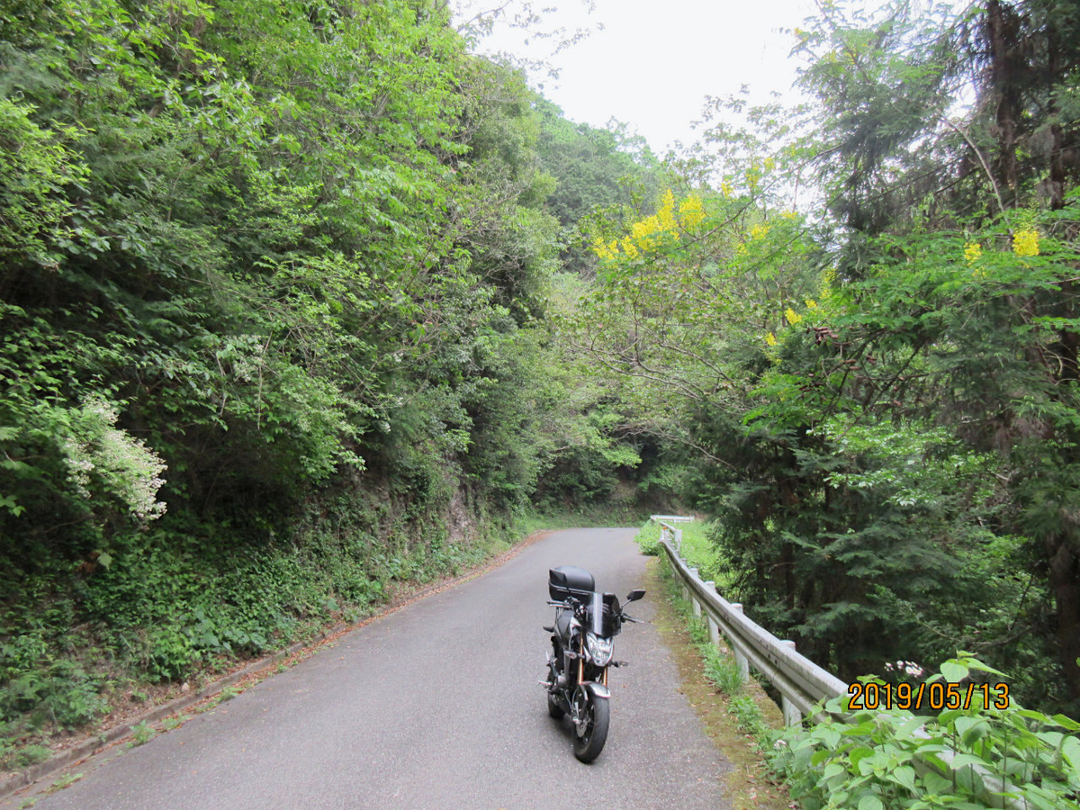 f:id:masatdm1951:20190513225921j:plain