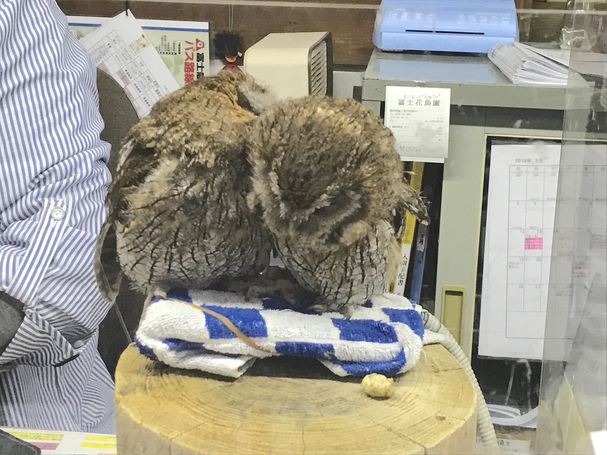 f:id:masatdm1951:20190518111846j:plain