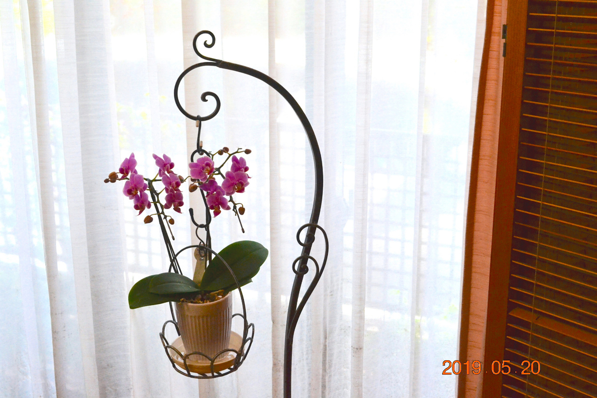 f:id:masatdm1951:20190520154239j:plain