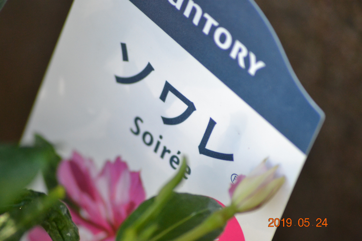 f:id:masatdm1951:20190524180806j:plain