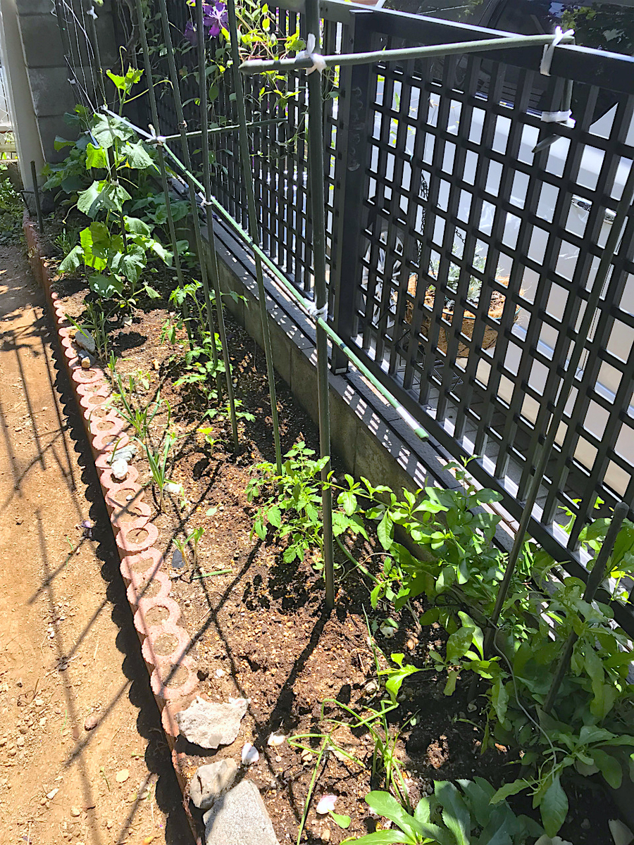 f:id:masatdm1951:20190525150354j:plain