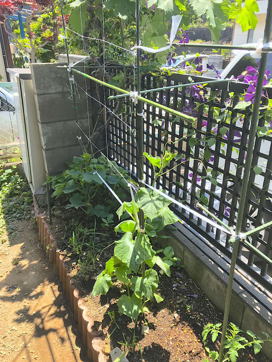 f:id:masatdm1951:20190525150401j:plain