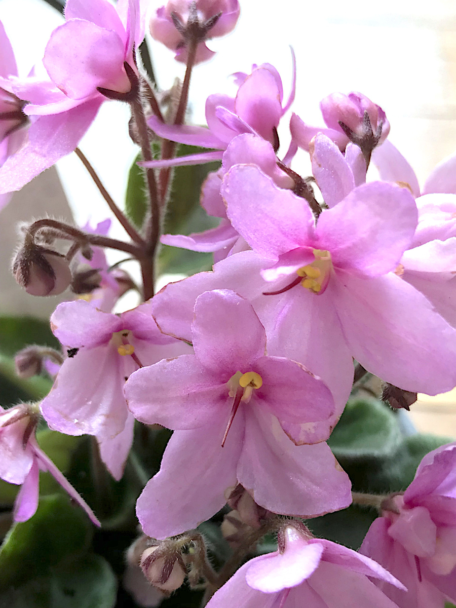 f:id:masatdm1951:20190601112823j:plain