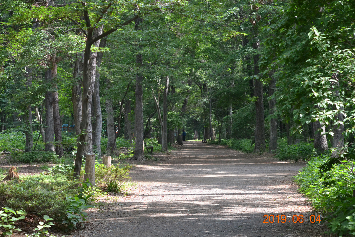 f:id:masatdm1951:20190604163618j:plain f:id:masatdm1951:20190604163618j:plain