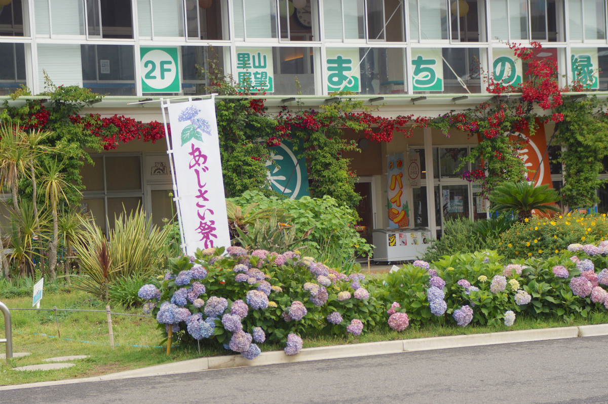 f:id:masatdm1951:20190609101405j:plain f:id:masatdm1951:20190609101405j:plain
